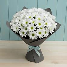 Букет цветов из:  Хризантемы #REPLACE_PRED# Мариинске