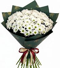 Букет цветов из:  Хризантемы #REPLACE_PRED# Мариинске