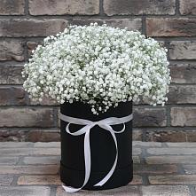 Цветочная композиция из Гипсофила в шляпной коробке в Мариинске