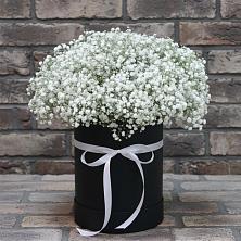 Цветочная композиция из Гипсофила в шляпной коробке в Мариинске