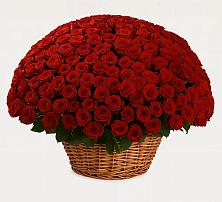 Премиум букет из: Розы #REPLACE_PRED# Мариинске